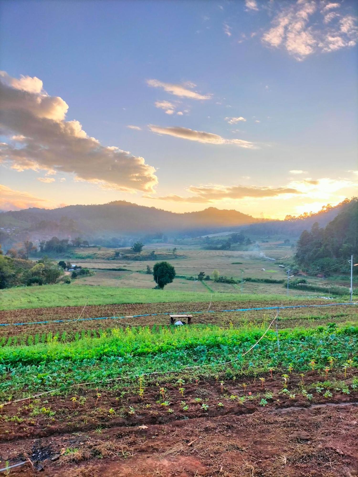 Отель สวนไร่รุ่งอรุณ Suan Rai Rungarun Ban Na Pa Paek Экстерьер фото